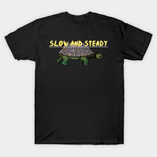 Slow and steady tortoise and the hare pink T-Shirt